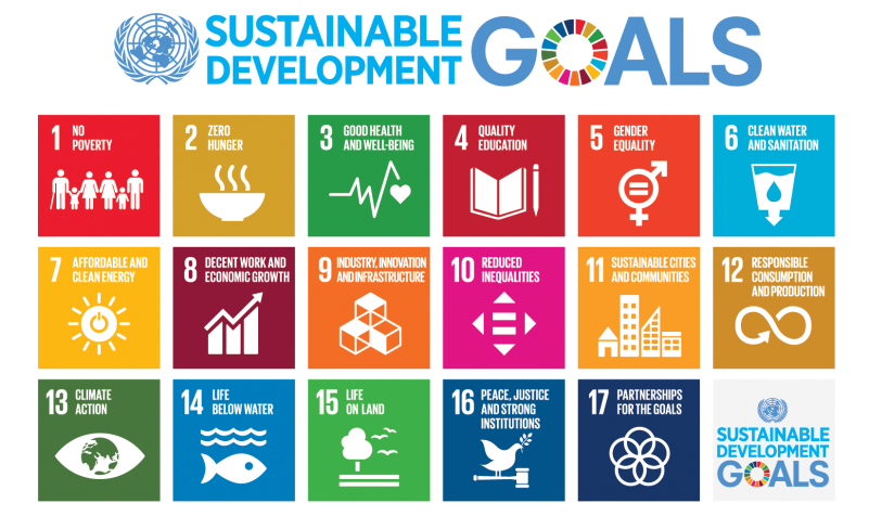 A list of the different sustainable development goals