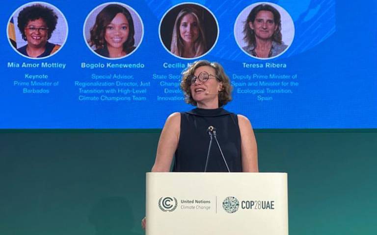 Professor Mazzucato gives opening remarks during IIPP’s event on climate finance   