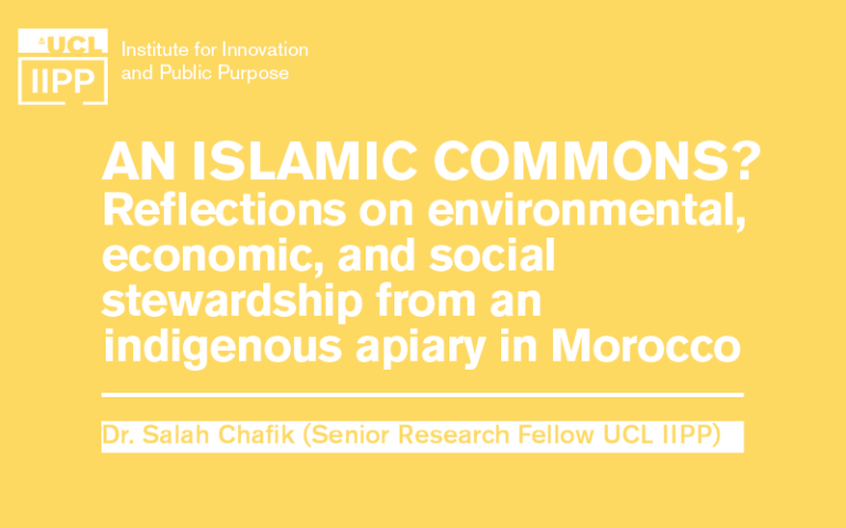 An Islamic Commons