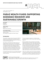 cover_final_iipp_policy_brief_11_public_wealth_funds_resized.png