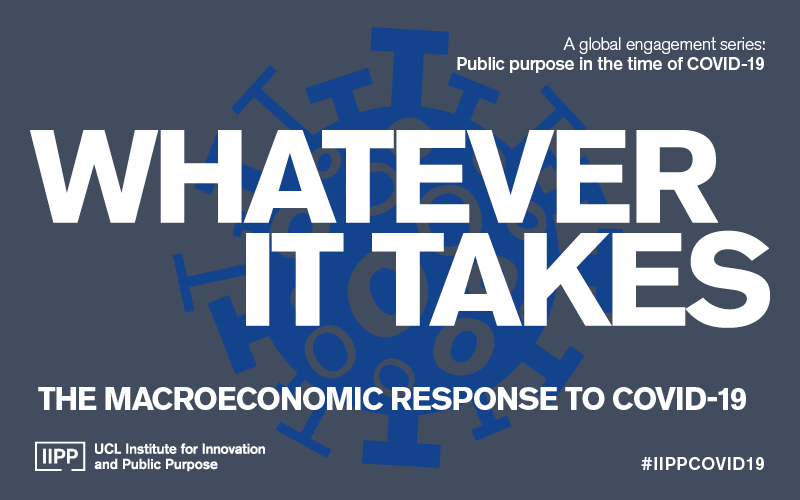 Whatever it takes: The macroeconomic response to COVID-19