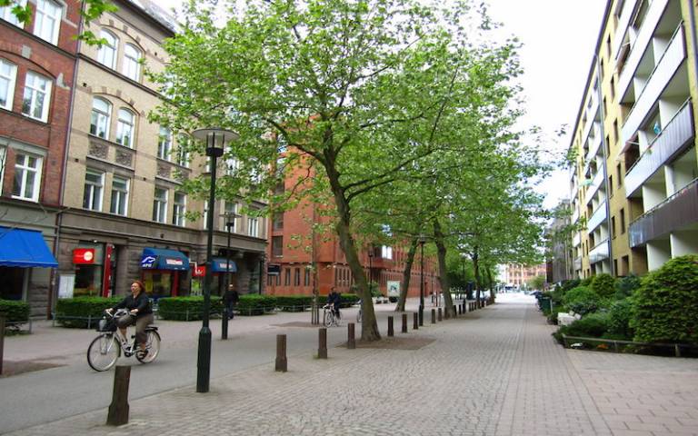 A pedestrianised town centre street with a row of trees and buildings on either side of the street