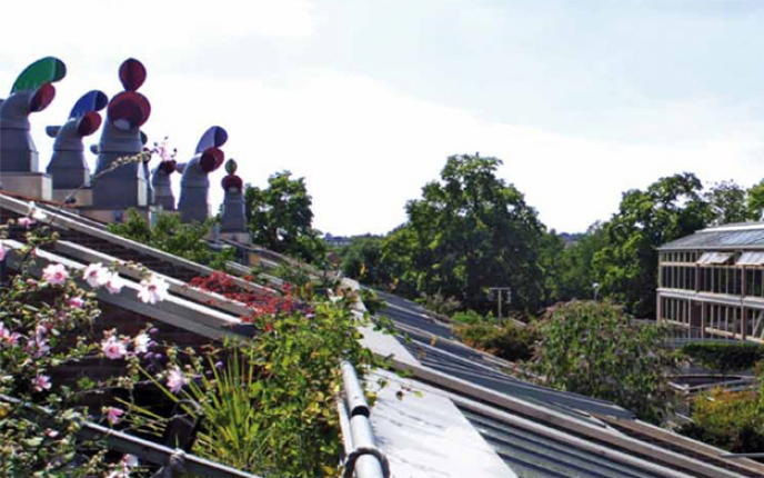 A roof garden in an urban environment