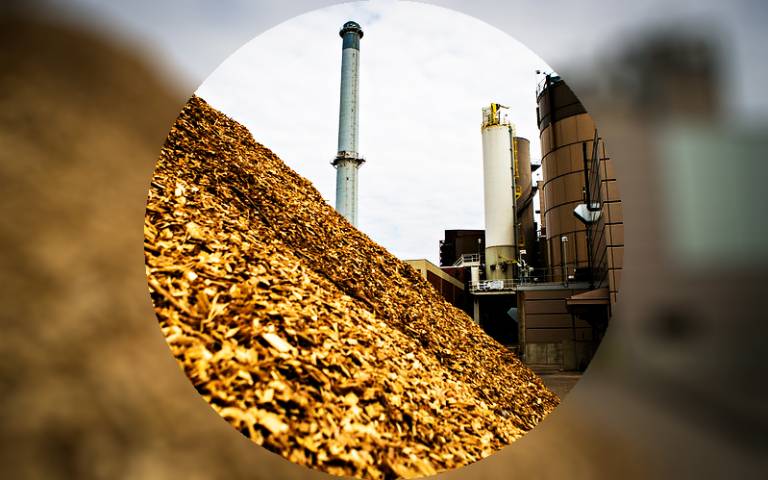 Wood chippings outside power plant
