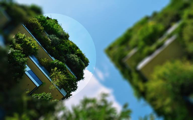 Buildings covered in green plant - image credit Gabor Molnar via unsplash 