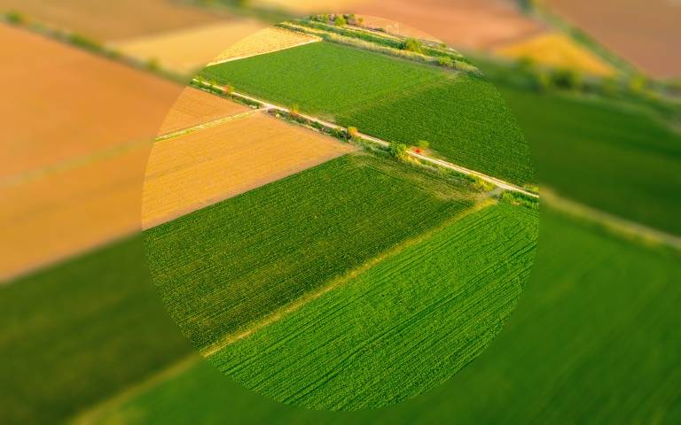 Farmland aerial view