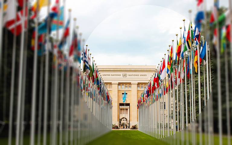 UN flags outside UN building