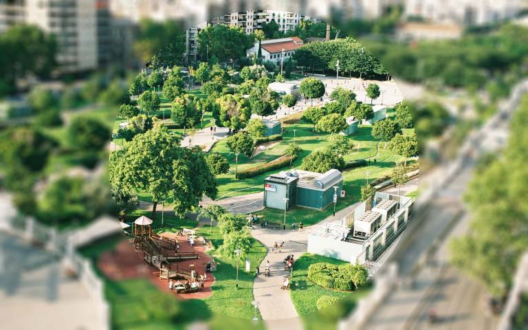 Green space in city