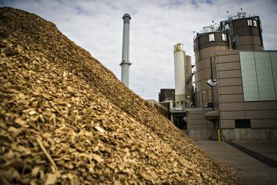 Wood chips power plant