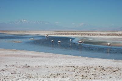 The Salar de Atacama, a salt flat in northern Chile