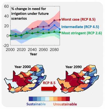 Modelled projected changes in South African crop water requirements under future climate scenarios 
