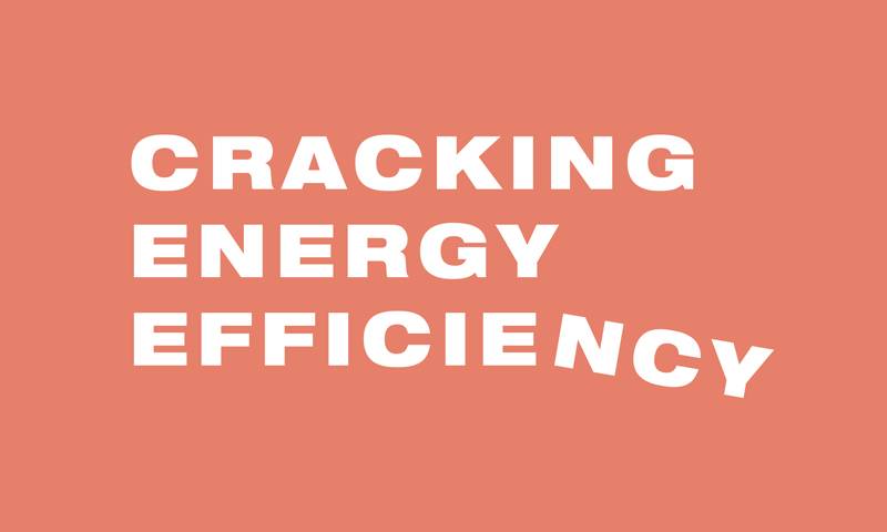 Graphic for Cracking Energy Efficiency essay