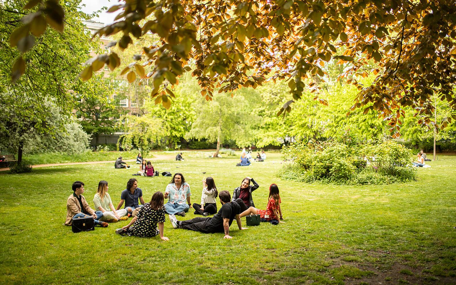 Students sitting in a circle in the middle of a park space