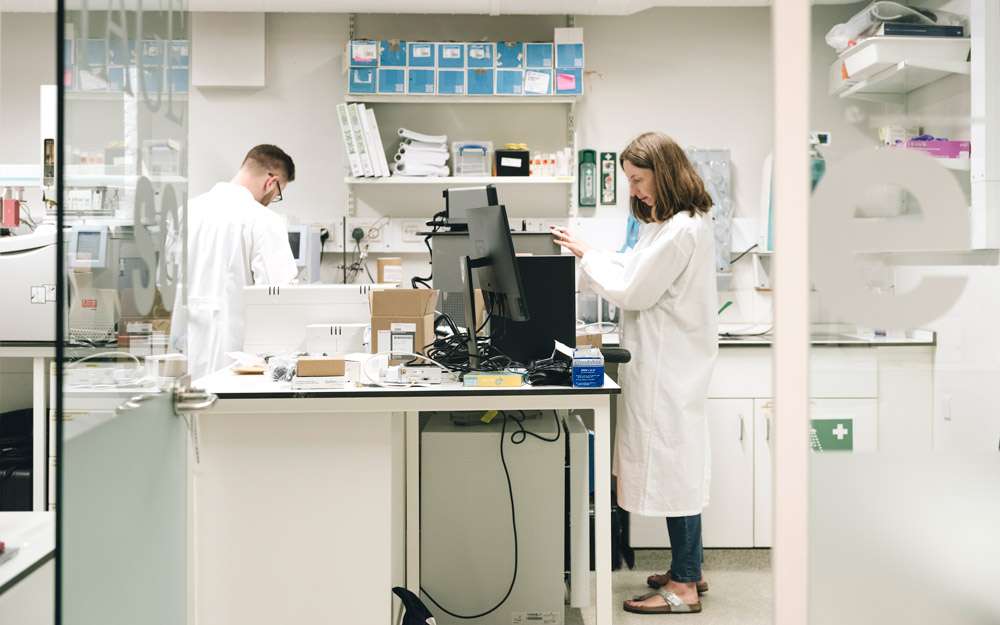 Two researchers work on their projects in a laboratory