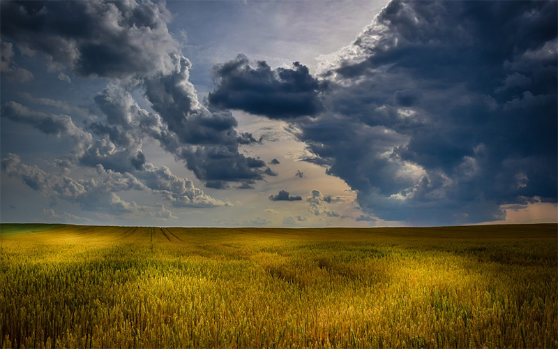 storm clouds crops