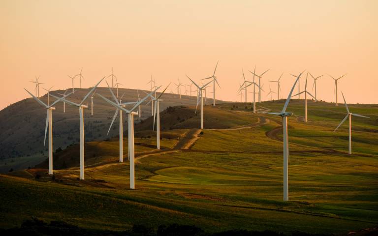 Wind turbines in field with sunset
