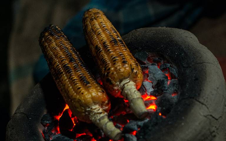 Corn on the cob cooking on coals
