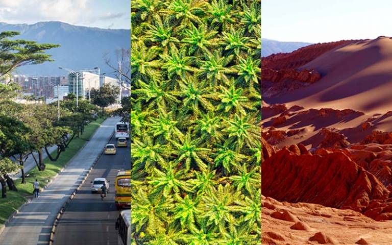 Three photo composite of Medellin, aerial view of palm trees and a desert.