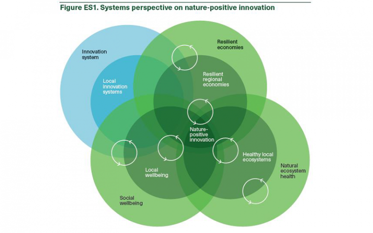 Green circle overlapping representing systems perspective on nature-positive innovation