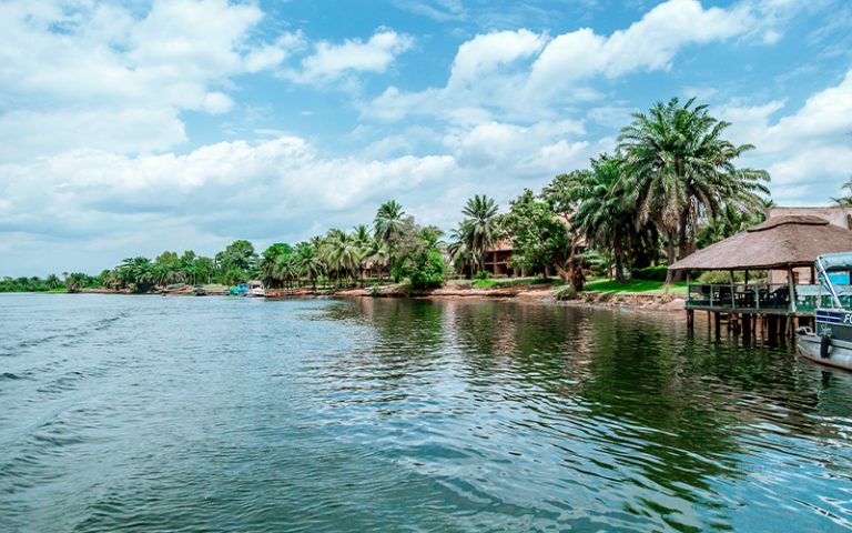 River in Ghana with palm trees along the edge 