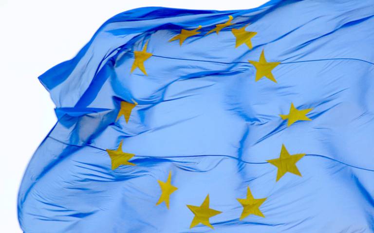 European flag 