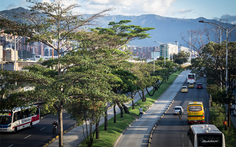 View of roads with trees down the middle in Medellin Colombia with mountains in the background