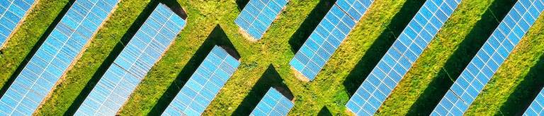 Solar panels separated by greenery