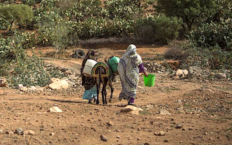 Woman walking with a donkey loaded with water