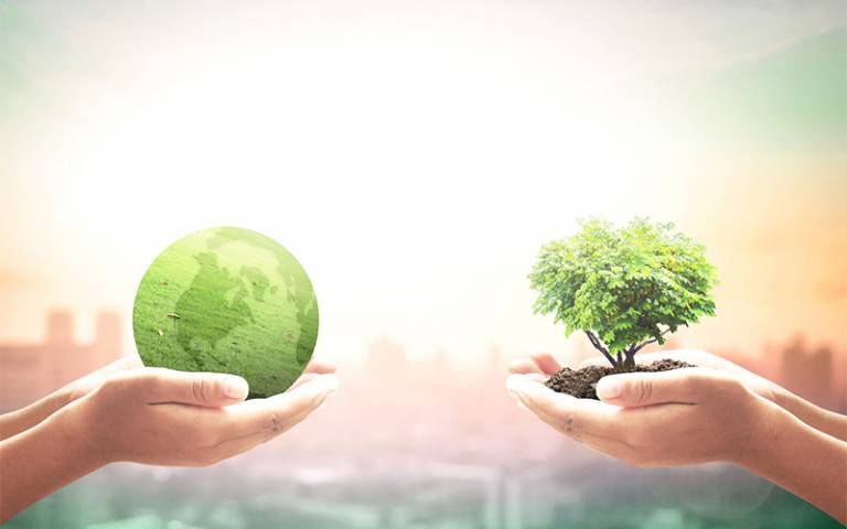 image of hands holding a green earth and a tree 