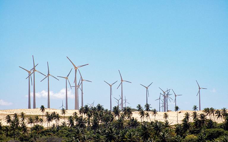 A row of wind turbines behind palm trees in Brazil