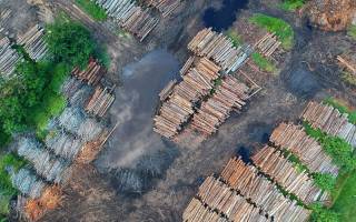 photo taken from above of stacks of logs 