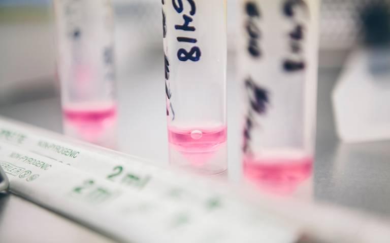 Biochemical Engineering vials of pink liquid