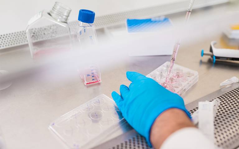 blue-gloved hand with pipette under fume hood