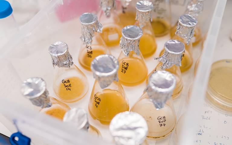 Laboratory flasks of liquid