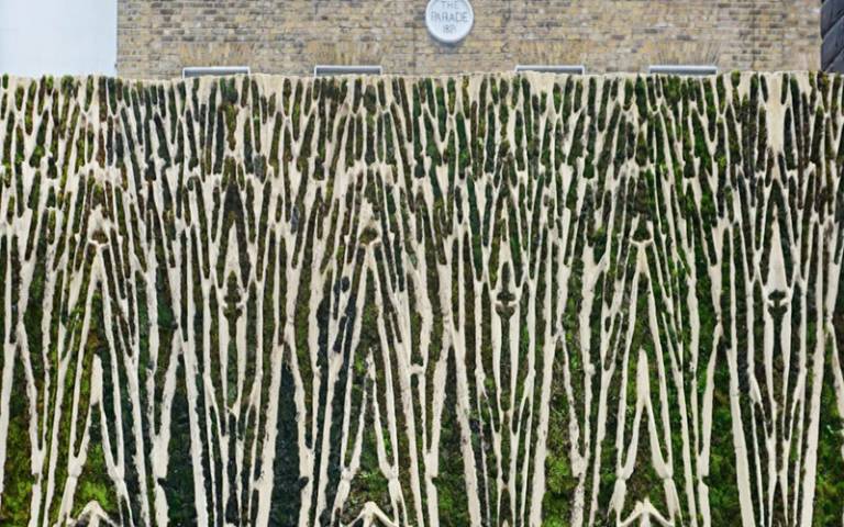 Poikilohydric Living Wall installed at St Anne’s Catholic Primary School in London   