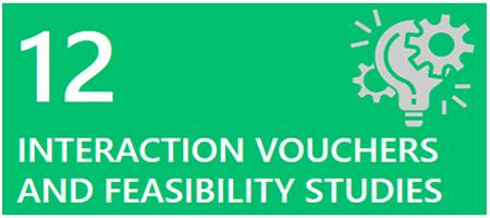 twelve interaction vouchers and feasibility studies