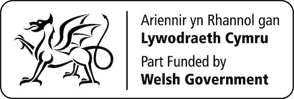 Part funded by the Welsh Government logo