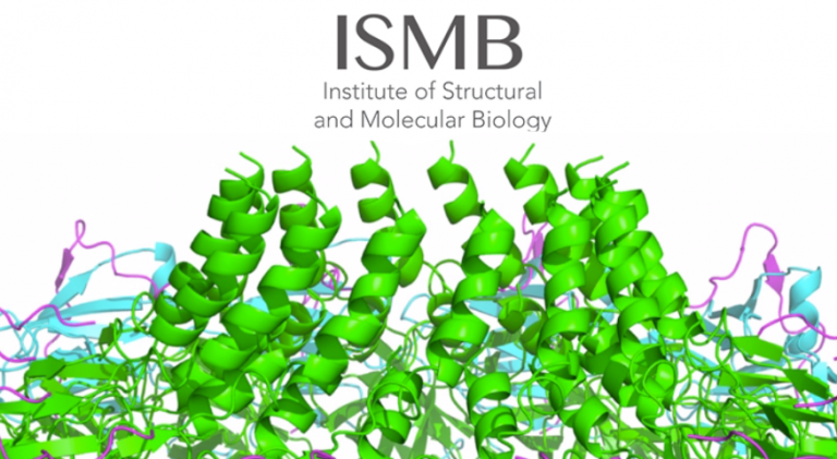 Institute of Structural and Molecular Biology (ISMB).