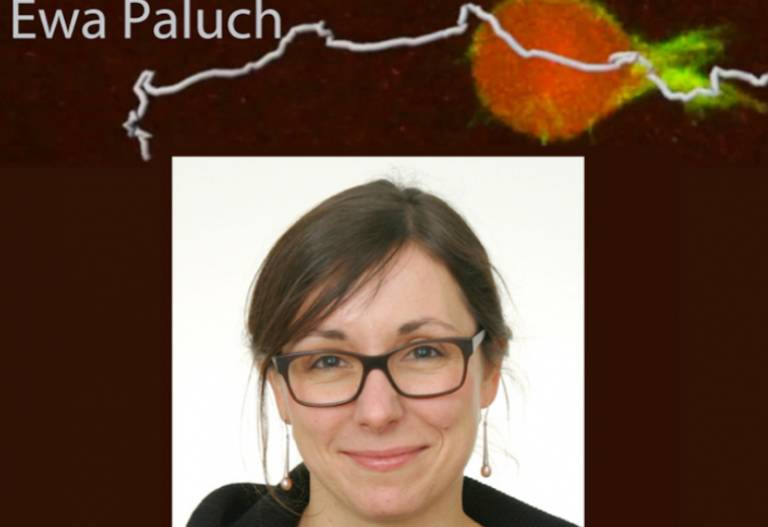 Professor Ewa Paluch BSCB Hooke Medal Winner 2017