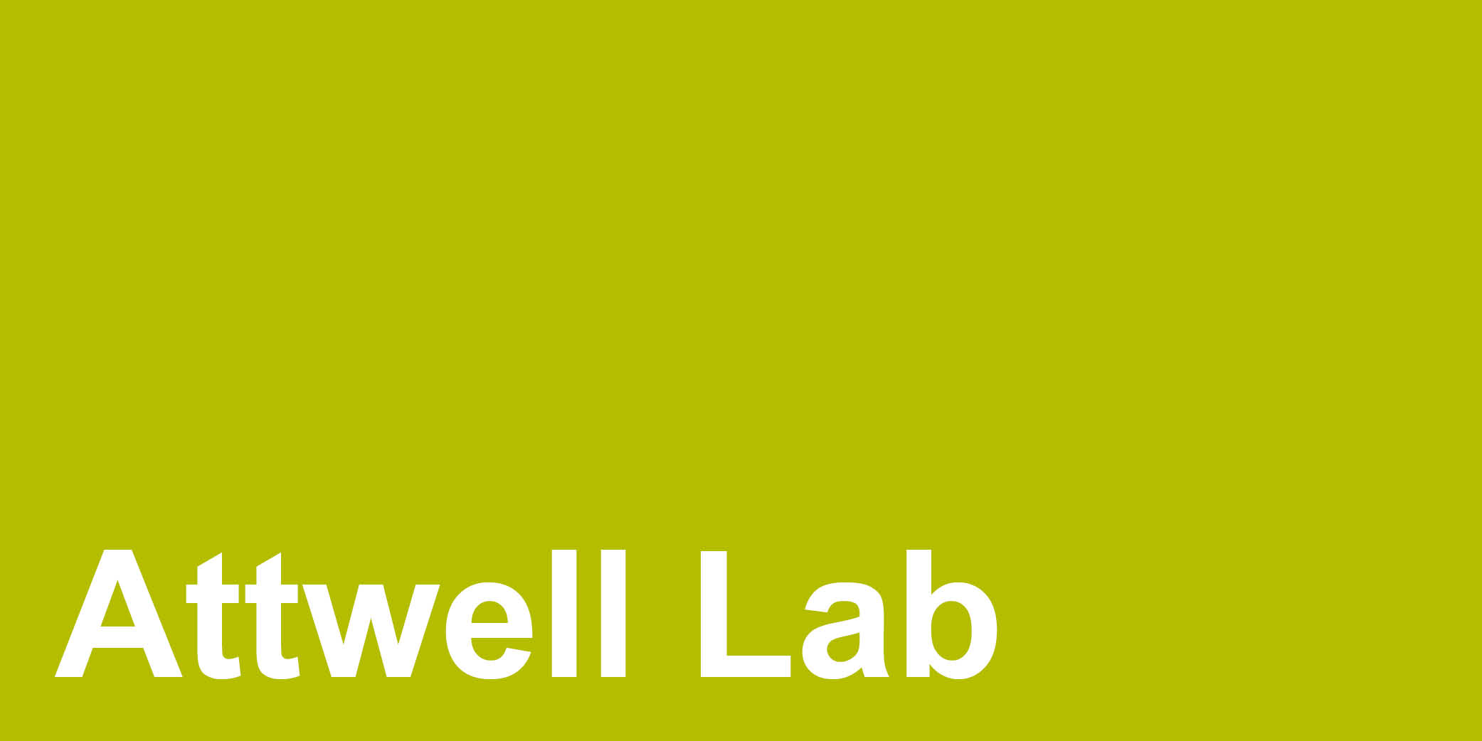 Attwell Lab