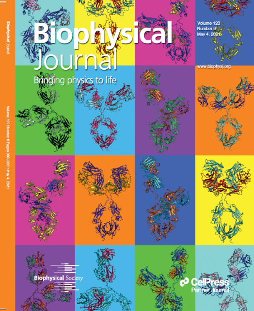biophysics journal cover