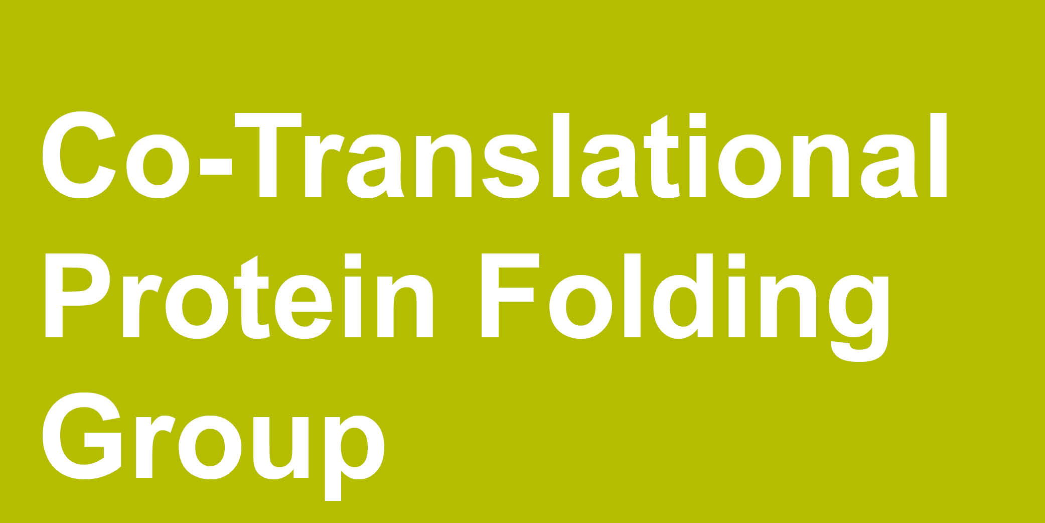 Co-Translational Protein Folding Group