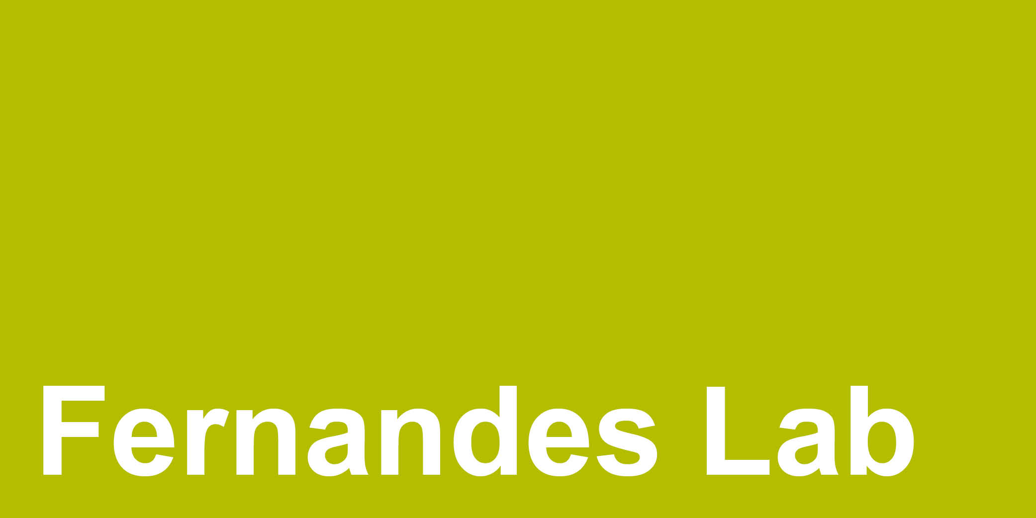 Fernandes Lab