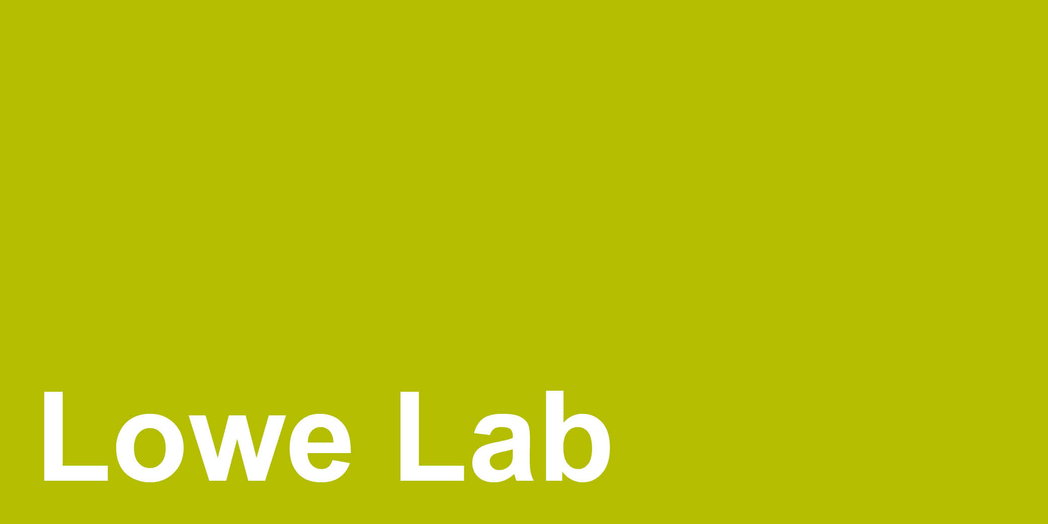 Lowe Lab