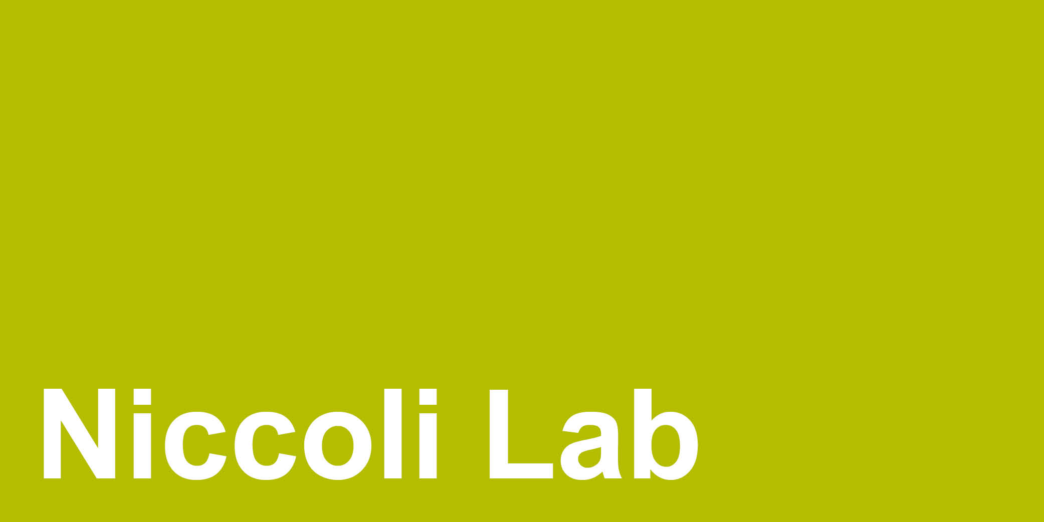 Niccoli Lab