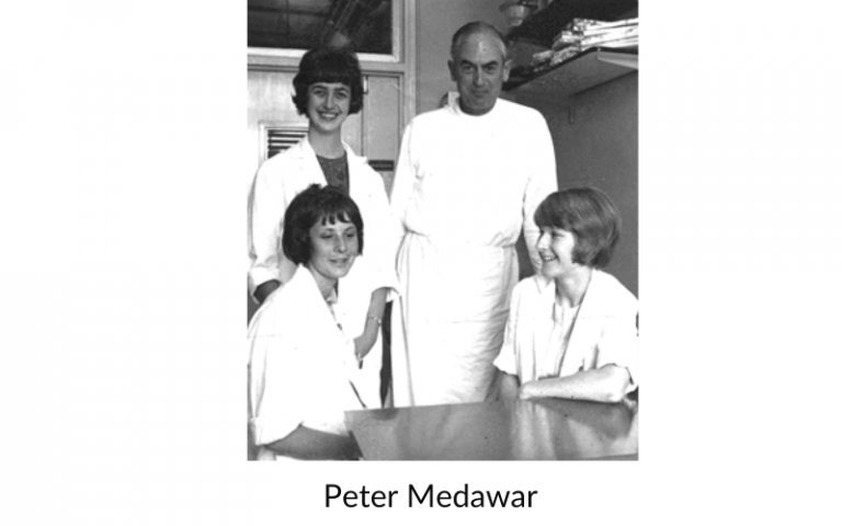Peter Medawar