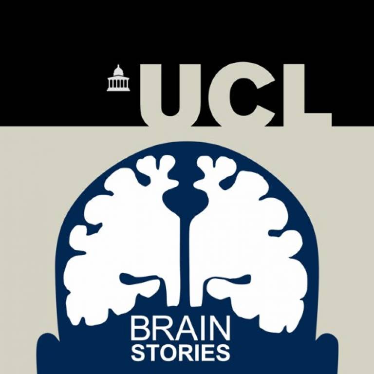 Image of Brain Stories logo