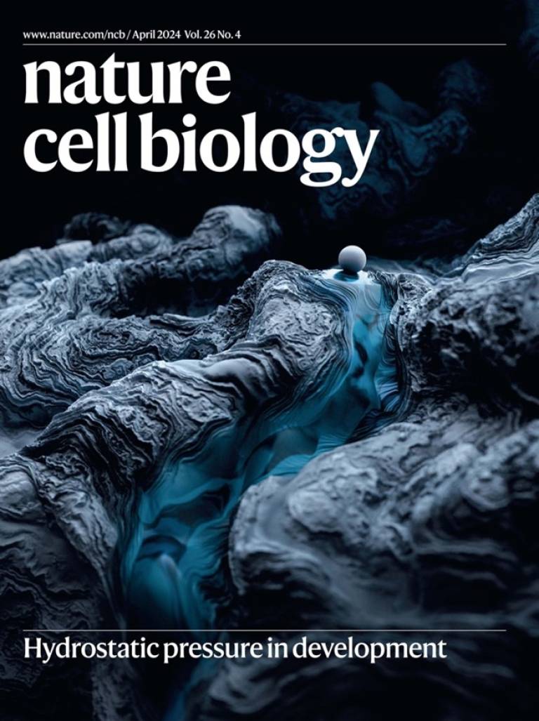 Cover of Nature Cell Biology - March 2024 - Roberto Mayor et al