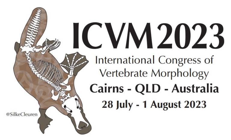 Poster of ISVM 2023, the International Society for Vertebrate Morphology's meeting in Cairns, Australia, 28 July-01August 2023