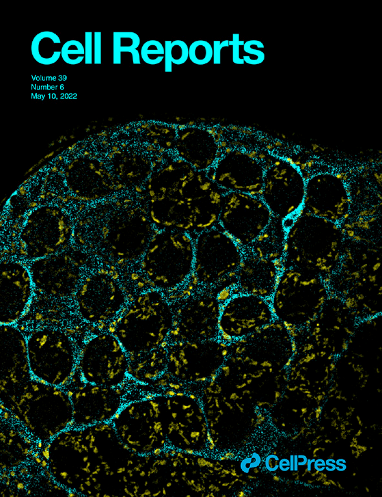 image of Cell Reports cover